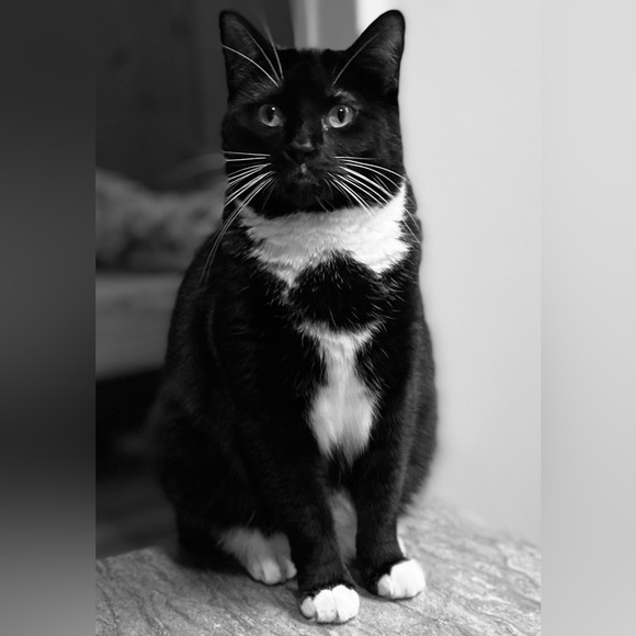 Offers Welcome Here!!! - Picture 5 of 7